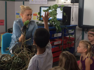 Parua Bay School Talk