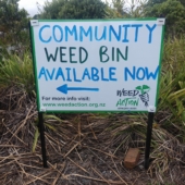 FREE Invasive Weed Disposal - Community Weed Amnesty