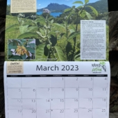 Weed Action 2023 calendar