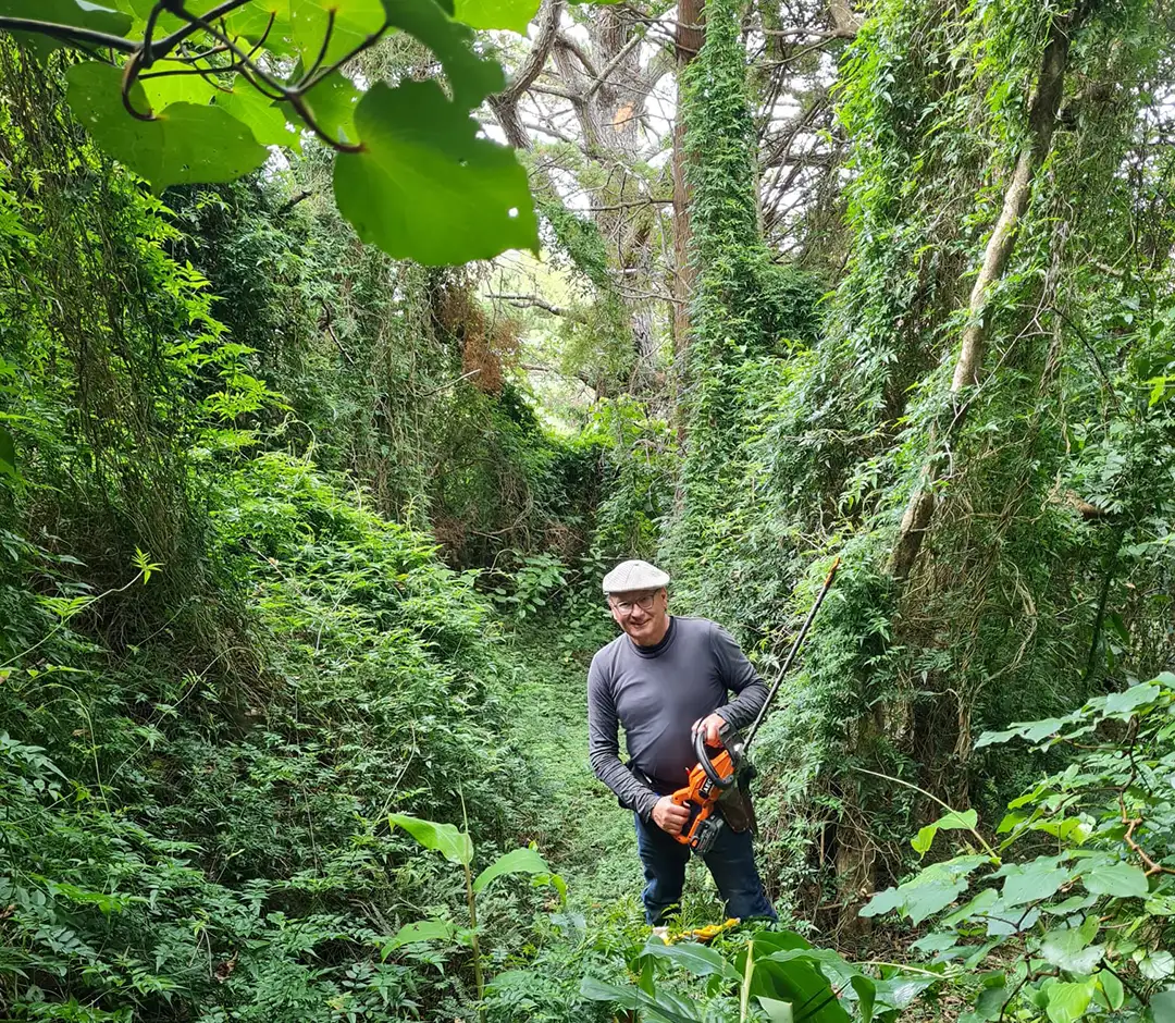 Whangarei Heads Native Habitat under seige